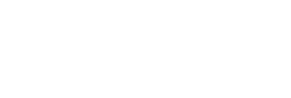 Partner 10